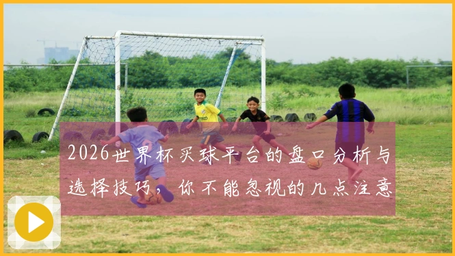 2026世界杯买球平台的盘口分析与选择技巧，你不能忽视的几点注意事项