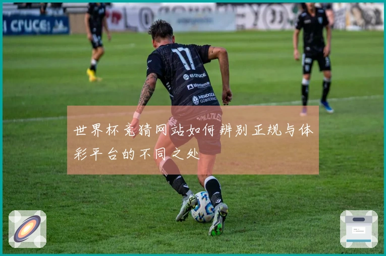 世界杯竞猜网站如何辨别正规与体彩平台的不同之处