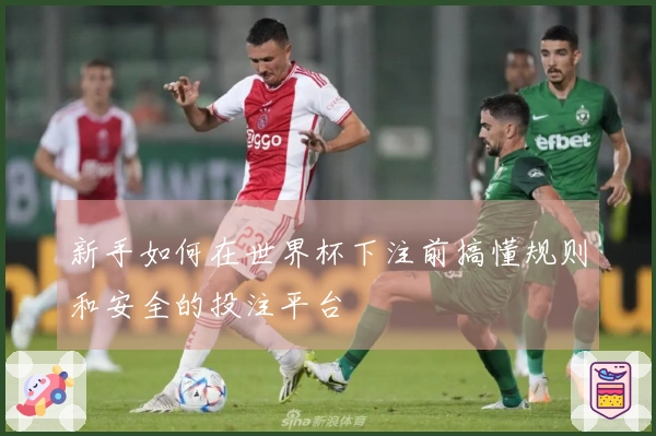 新手如何在世界杯下注前搞懂规则和安全的投注平台