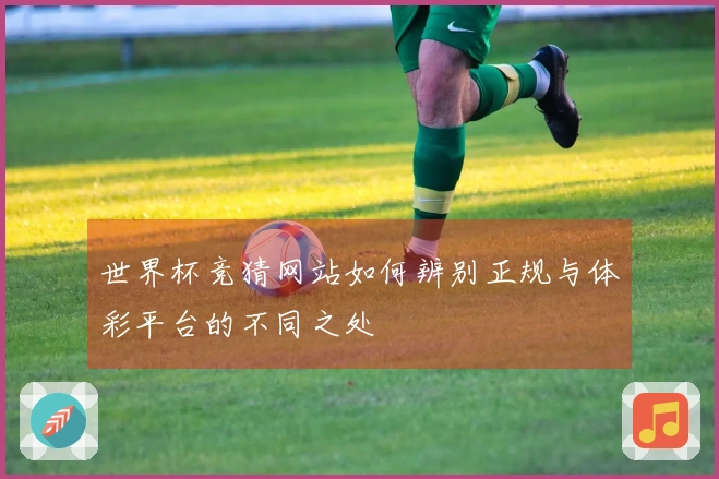 世界杯竞猜网站如何辨别正规与体彩平台的不同之处