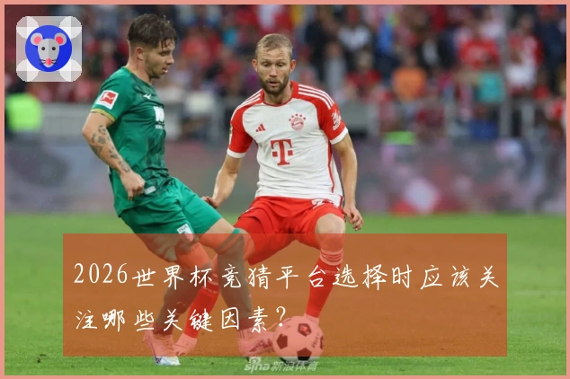 2026世界杯竞猜平台选择时应该关注哪些关键因素？